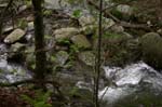 DSCN4397
