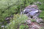 DSCN0061